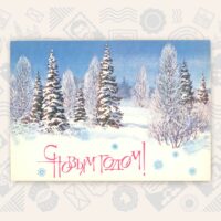 crd880 С.Куприянов, зимний лес.